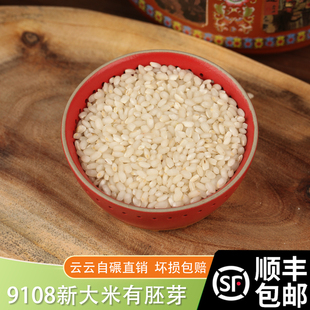 2025苏北新大米 9108梗米 自碾丑米胚芽米产地直销老品种