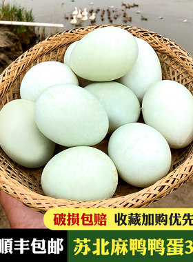 顺丰包邮鸭蛋麻鸭蛋放养散养