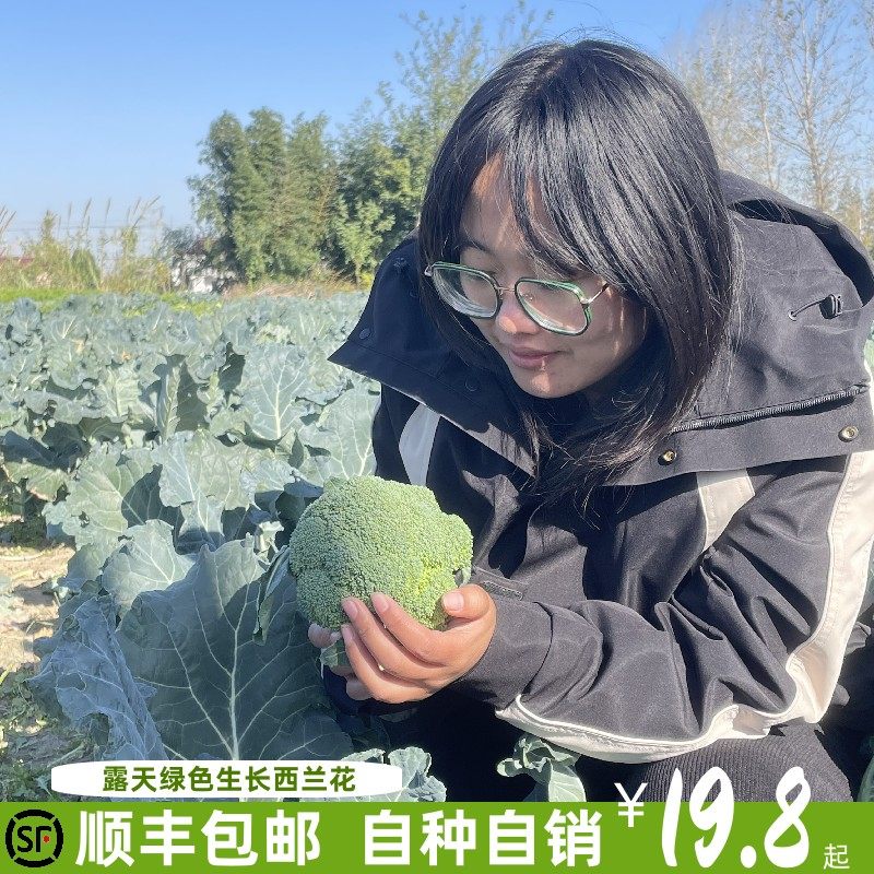 顺丰包邮苏北特产 西兰花新鲜 现摘现发绿花菜花椰菜美国花菜,水产肉类/新鲜蔬果/熟食,西兰花/花菜,淘宝优惠券,粉丝福利购,淘宝优惠卷