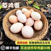顺丰 草鸡蛋新鲜土鸡蛋农家散养正宗月子孕妇淘气宝宝辅食30枚 包邮