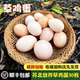 顺丰 包邮 草鸡蛋新鲜土鸡蛋农家散养正宗月子孕妇淘气宝宝辅食30枚