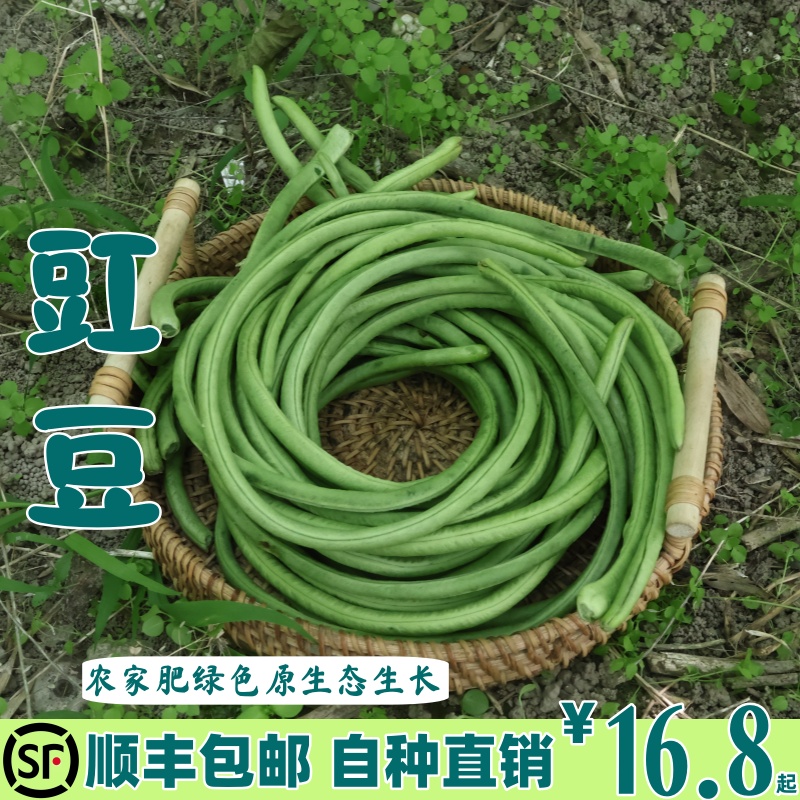 顺丰包邮苏北特产 豇豆新鲜 老品种长豆角嫩脆爽口现摘现发