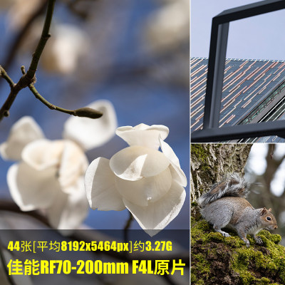 佳能RF70-200mm F4L原片原图RAW+JPG相机图直出未修摄影素材图片