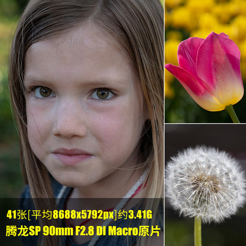 腾龙SP 90mm F2.8 DI Macro原片原图RAW+JPG相机直出未修素材图片