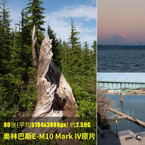 奥林巴斯E-M10MarkIV原片原图RAW+JPG相机直出图未修参考素材图片