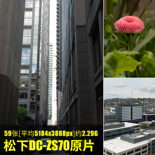 松下DC-ZS70原片原图RAW+JPG相机直出未修图高清练习摄影素材图片