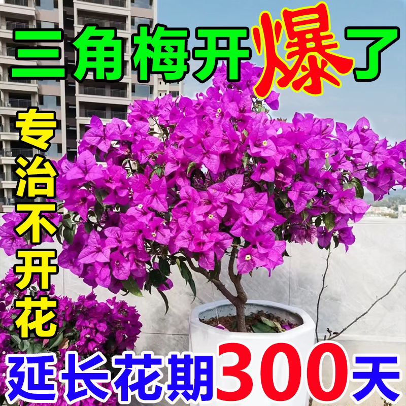 三角梅开花专用肥硫酸亚铁花肥料花多多2号家用养花催花爆花肥料