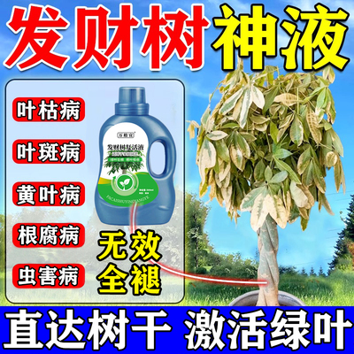 一滴爆芽100%包成活发财树复活液