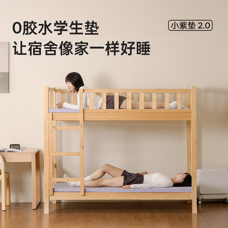 巢物小紫垫床垫宿舍专用可定制任意尺寸学生薄垫90*190记忆海绵垫