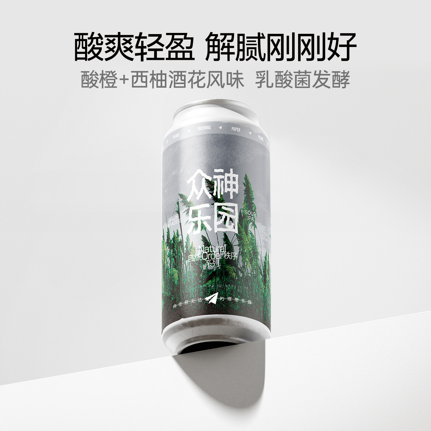纸飞机酿造  众神乐园酸IPA啤酒