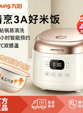 九阳电饭煲家用定时预约电饭锅小型迷你2L多功能快速煮饭柴火饭