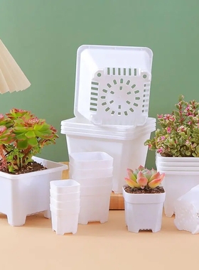 白色加厚方形多肉花盆景天小方盆塑料小黑方韩式多肉方形塑料花盆