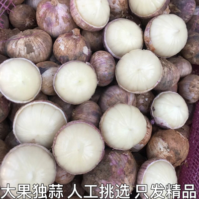 新鲜独蒜精品装农家自种