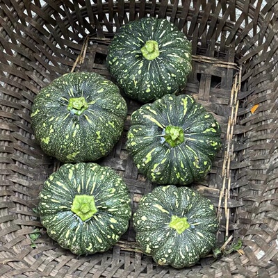新鲜南瓜贝贝南瓜当季时令农家蔬菜露天本地老品种粉面青皮圆南瓜