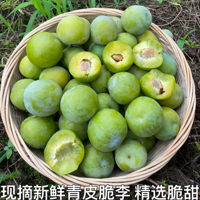 新鲜青皮脆李巫山李子