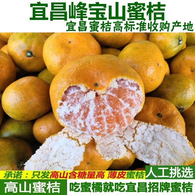 青皮橘子早熟新鲜蜜桔柑橘蜜橘