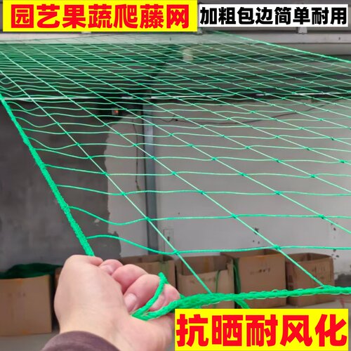 植物爬藤网丝瓜百香果攀爬网种植