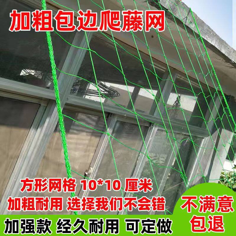 农用加粗种植网爬藤网瓜果百香果