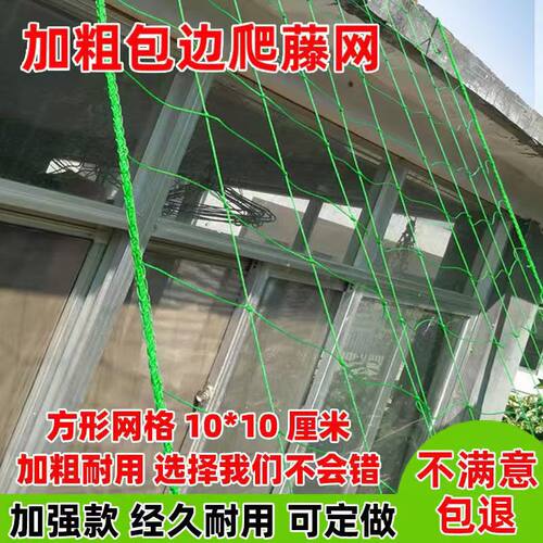 农用加粗种植网爬藤网瓜果百香果