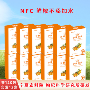100%沙棘原汁共120袋 宁夏农科院NFC沙棘原浆生榨小果沙棘油VC正品