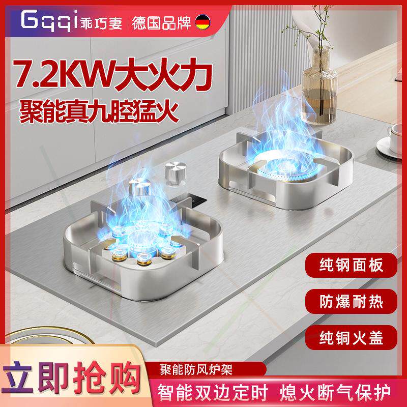 德国正品家用燃气灶台嵌两用双头烟机灶具配件