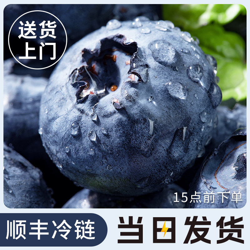 秘鲁蓝莓鲜果新鲜水果当季蓝梅云高山怡颗南整箱包邮顺丰野果