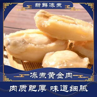 免洗冷冻黄金鲍鱼肉20头鲜活冷冻盐磨大鲍鱼肉久煮不缩水商用食材