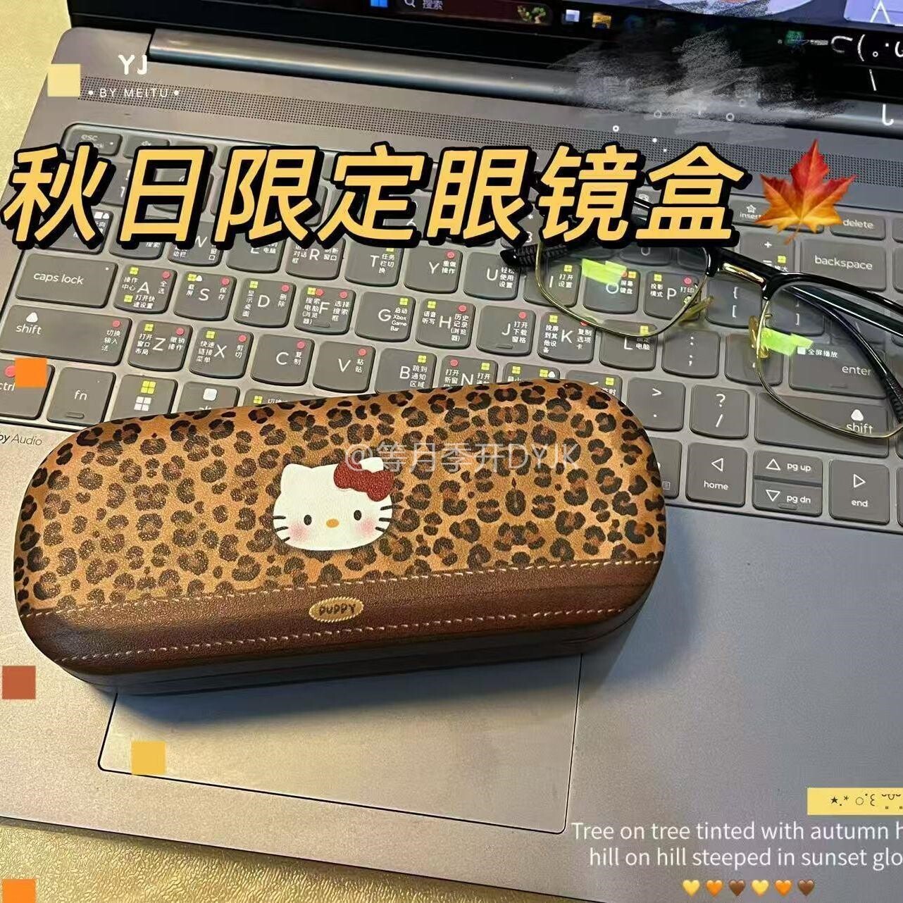 豹纹KT猫小众便携抗压眼镜盒女款