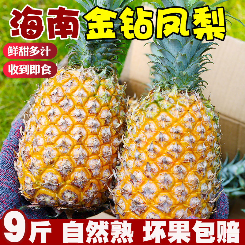 海南金钻凤梨新鲜水果9斤手撕香水凤梨树上熟非菠萝整箱大果无眼