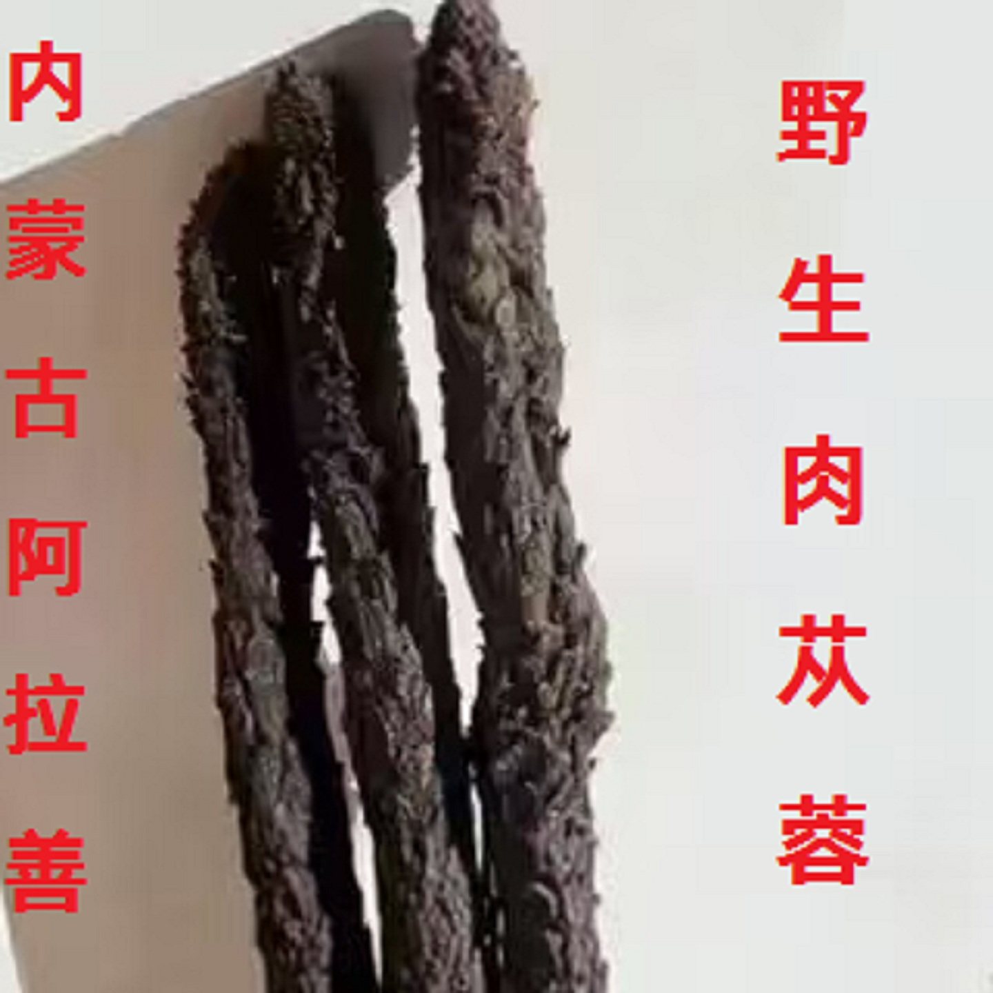 野生肉苁蓉内蒙古阿拉善肉苁蓉男性滋补品泡酒泡茶黄精金锁阳包邮