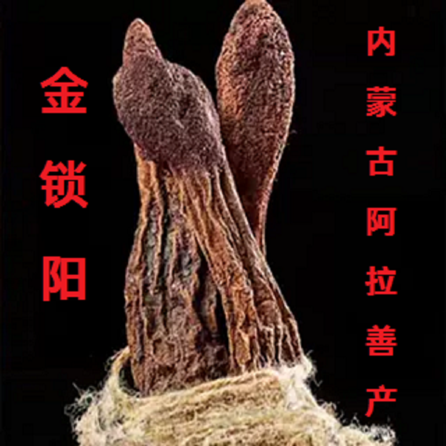 野生金锁阳中药材内蒙古正品锁阳片500g男性养生滋补肉苁蓉片包邮