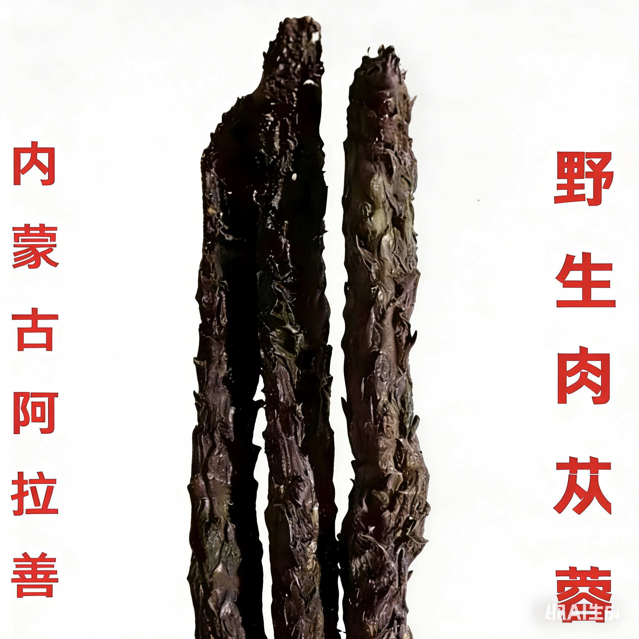 野生肉苁蓉内蒙古阿拉善肉苁蓉男性滋补品泡酒泡茶黄精金锁阳包邮