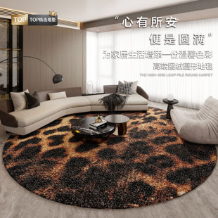 客厅地毯圆形复古风沙发茶几耐脏免洗地垫可定制书房加厚隔音垫子