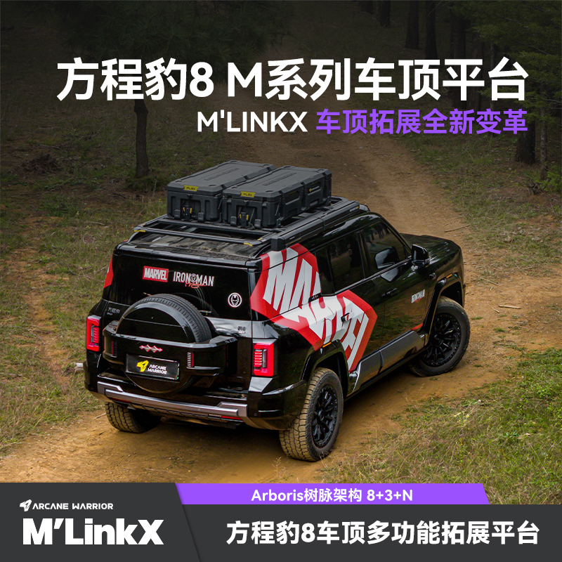 [包安装]AW方程豹8车顶满血版