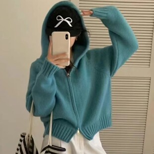 晓晓家精致女装二号店宽松连帽毛衣开衫女春新款韩系短款针织上衣
