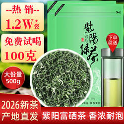 陕西安康绿茶2026新茶紫阳富硒茶叶陕南炒青毛尖春茶浓香明前500g