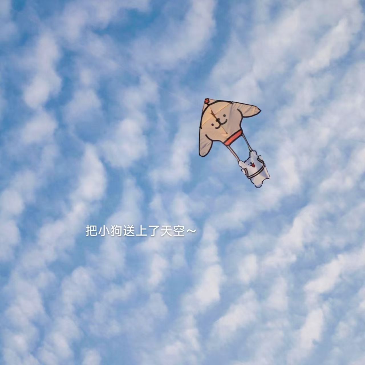 线条小狗风筝儿童专用微风易飞