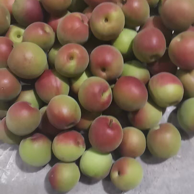 新鲜青梅现摘现发绿色小酸梅适合泡酒酵素胭脂红青梅酵素