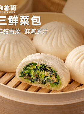 和善园三鲜菜包480g袋装早饭面食速冻半成品早点包子早餐包子