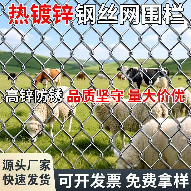 热镀锌铁丝网围栏养鸡狗牛羊防护