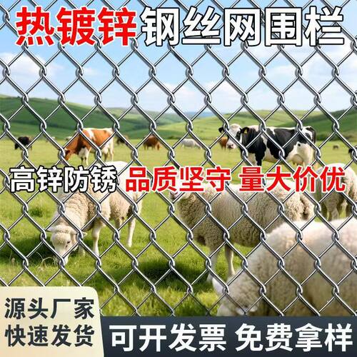 热镀锌铁丝网围栏养鸡狗牛羊防护