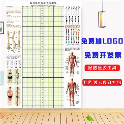 速发体态评估分析图表中医脊柱矫正背景墙装饰画健身房私教体测网