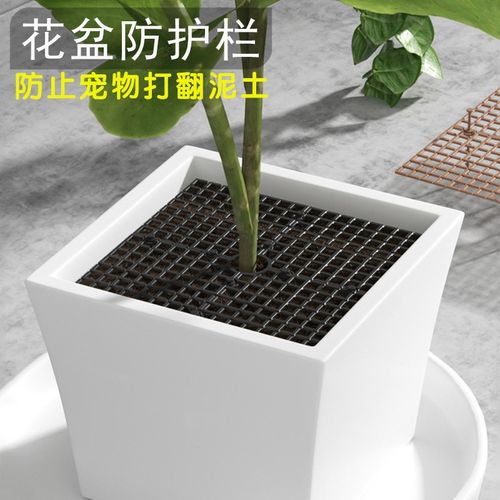 速发花盆保护罩防猫小孩抓盖护土盖防溅土网罩固土镂洒护栏条防空