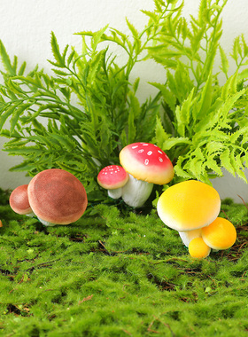 速发森系田园创意蘑肉饲艺品芦丁鸡工养箱造景装饰多菇植物微景观
