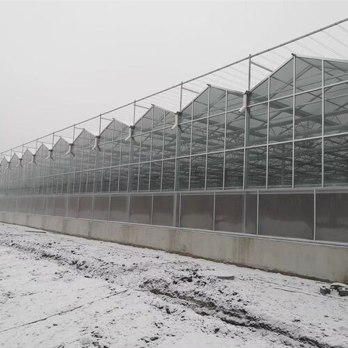 速发智能玻璃温室大栋连棚温室PC施室大棚骨架化农业设温大棚