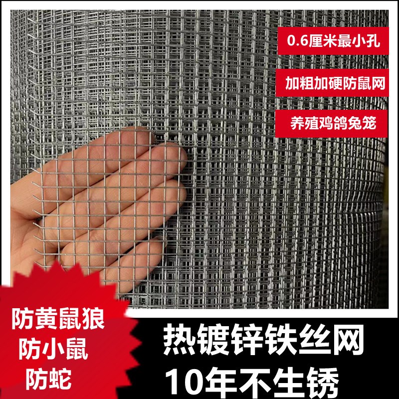 速发镀锌铁丝网电焊网小孔防鼠防蛇防锈钢丝网封窗防坠网养殖鸡鸽