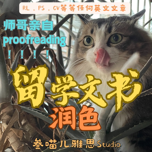 留学文书润色 英文文章RL/PS/CV一对一修改润色proofreading