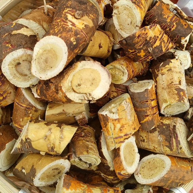 野生特级老桑树根切片煲汤煮水