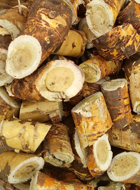 新鲜现挖野生特级老桑树根切片煲汤煮水干货泡茶泡酒煲汤食材