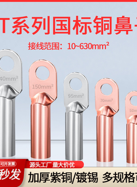 堵油DT铜鼻子接线端子紫铜国标电缆铜接头25/50/95平方镀锡铜线耳